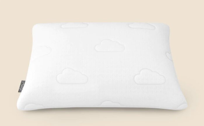 Puffy Signature Pillow
