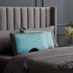 Shoulder CarbonCool™ LT + Omniphase® Pillow