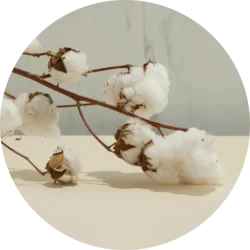 Awara Natural Hybrid Mattress