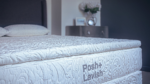 Posh+Lavish Release True Pillow Top
