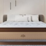 Luxurious bedroom showcasing Elite bed with modern design and warm lighting for ultimate relaxation.