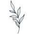 Minimalist navy leafy branch illustration for branding, stationery, or home decor.