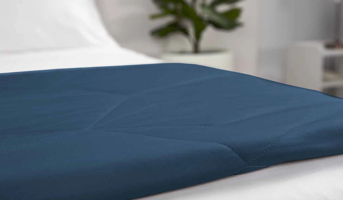 Cozy bedroom with plush blue blanket and plant, creating a serene, inviting space for relaxation.