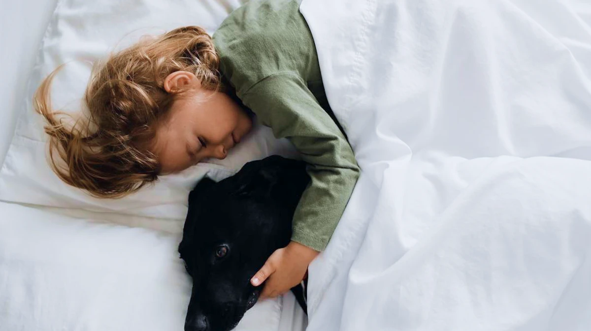 Child sleeping with black dog under fluffy comforter, showcasing warmth and companionship.