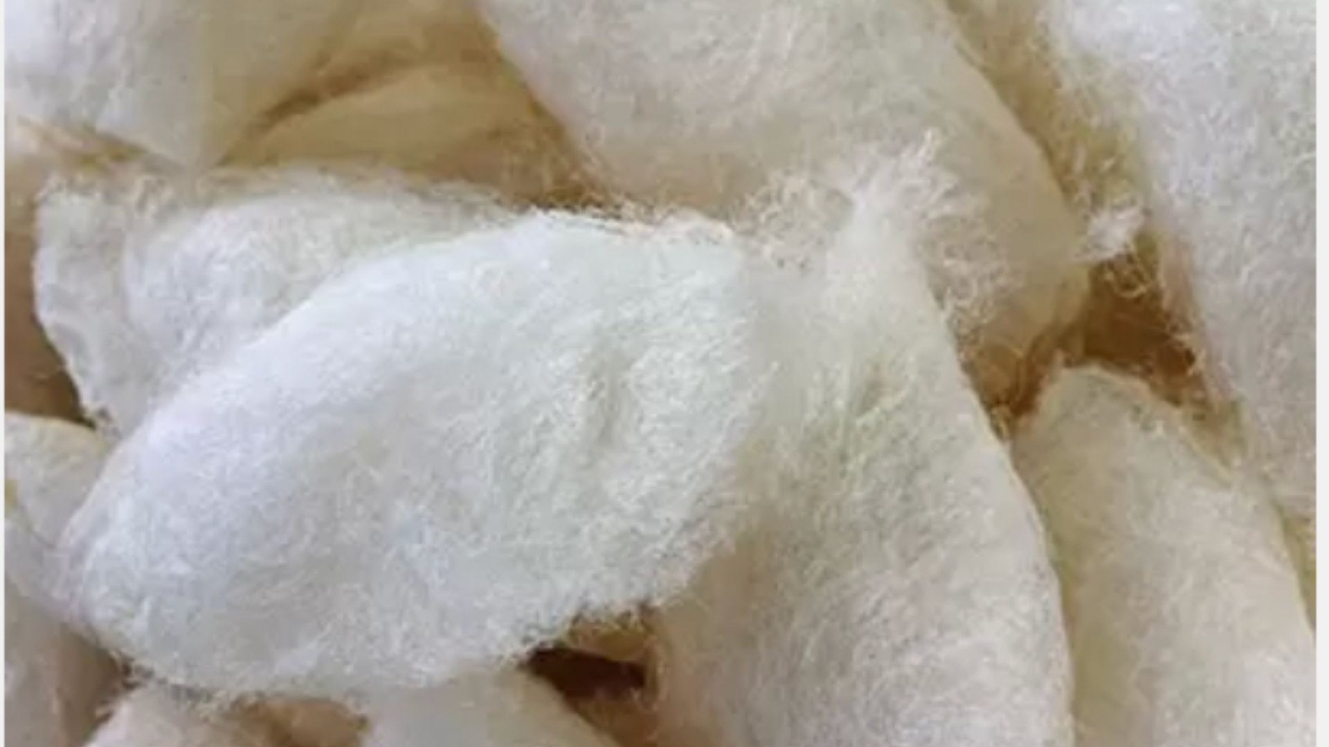 Fluffy white cotton structures with soft, airy textures evoke natural warmth and comfort.