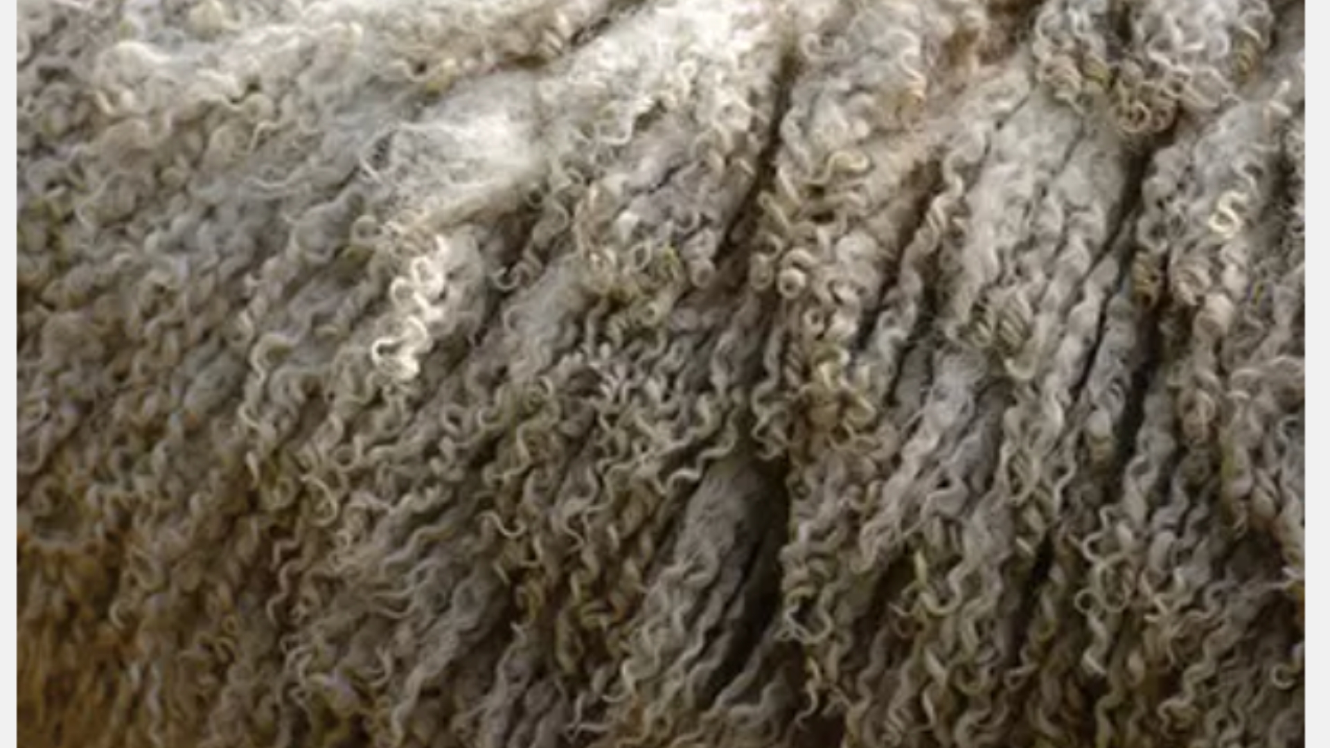 Close-up of curly fibers with natural texture, soft shades, and organic elegance.