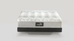 Plush quilted mattress on sleek modern base with neutral tones for versatile decor.