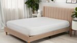Modern beige upholstered bed with natural light and green plants in a cozy bedroom.