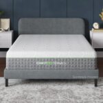 Modern bedroom with gray bed, teal wall, white nightstands, plants, and patterned rug.