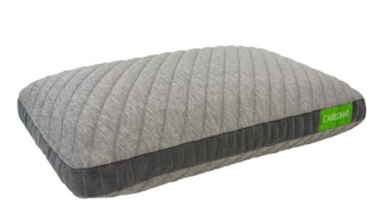 Retreat Latex Pillow